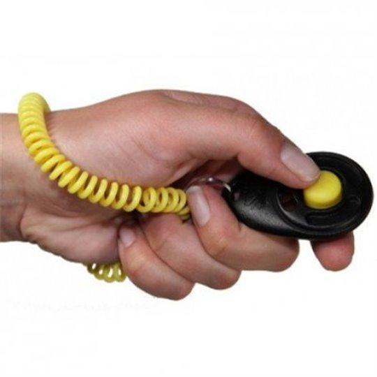 Clicker pro-training deluxe med armband,-Starmark svart med gult armband