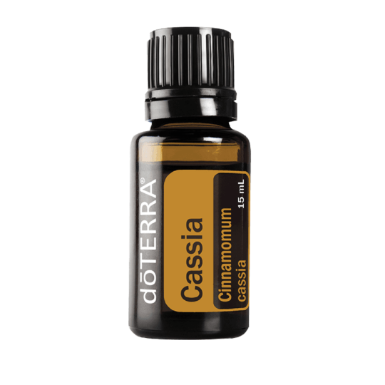 Cassia olja Cinnamomum kassia 15ml