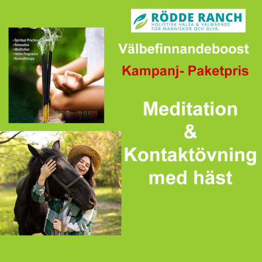 Välbefinnandeboost Meditation & Kontaktövning med häst
