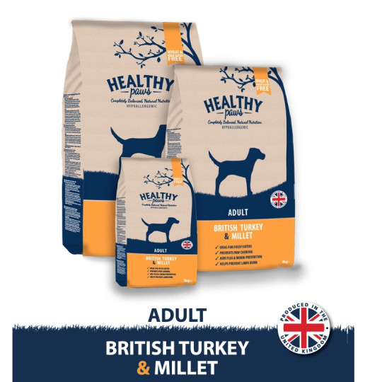 Healthy Paws  British Turkey & Millet,  Adult