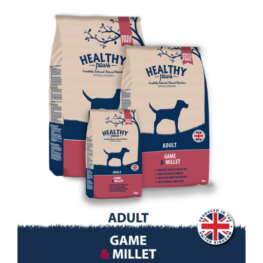 Healthy Paws – Game & millet adult