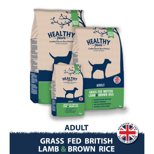 Healthy Paws Dog Adult Grass Fed British Lamb & Brown Rice Torrfoder