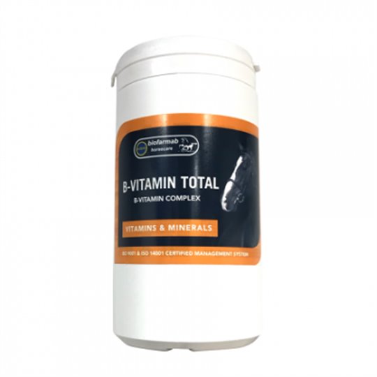 B-Vitamin Total 450 G