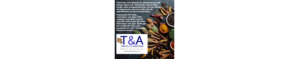 T&A  -  Timotej&Andersen